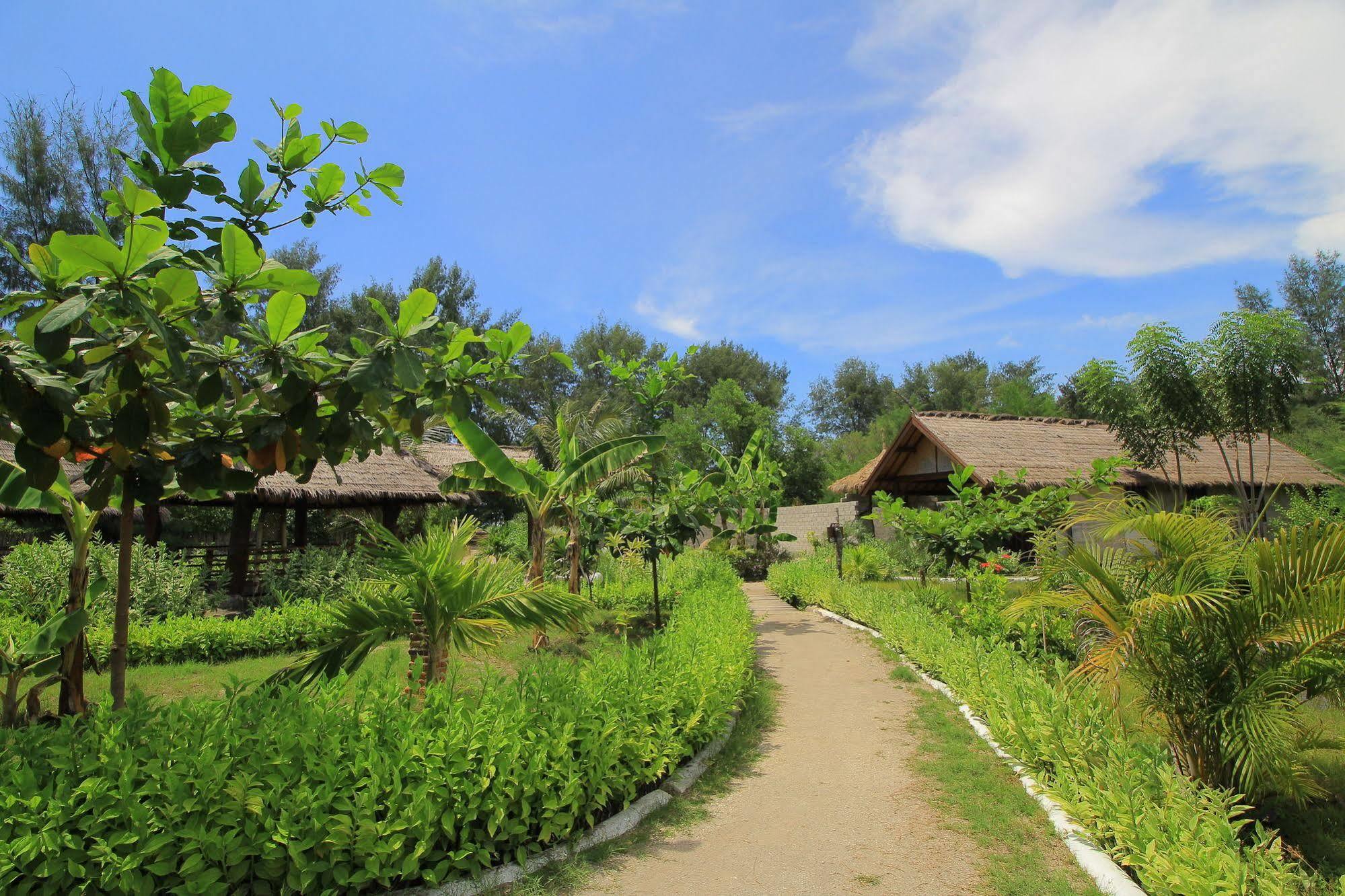 Adeng-Adeng Bungalows Gili Meno Exteriör bild